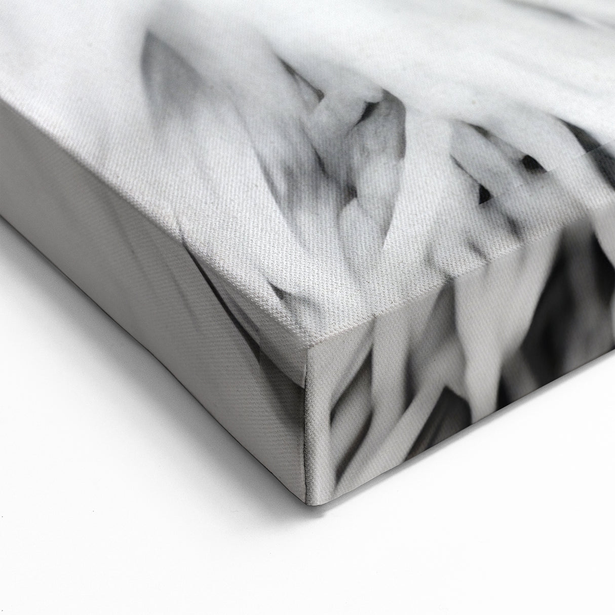 Close-Up Sloth Black & White Art - Modern Monochrome Wall Decor