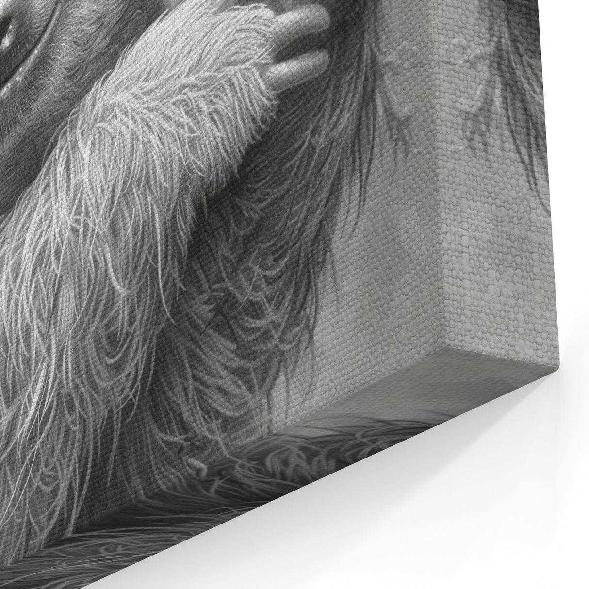 Charming Sloth Black & White Art - Detailed Monochrome Wall Decor