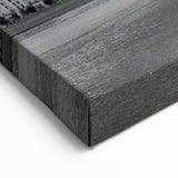 Cincinnati Skyline in Black & White - Elegant Monochrome Wall Art