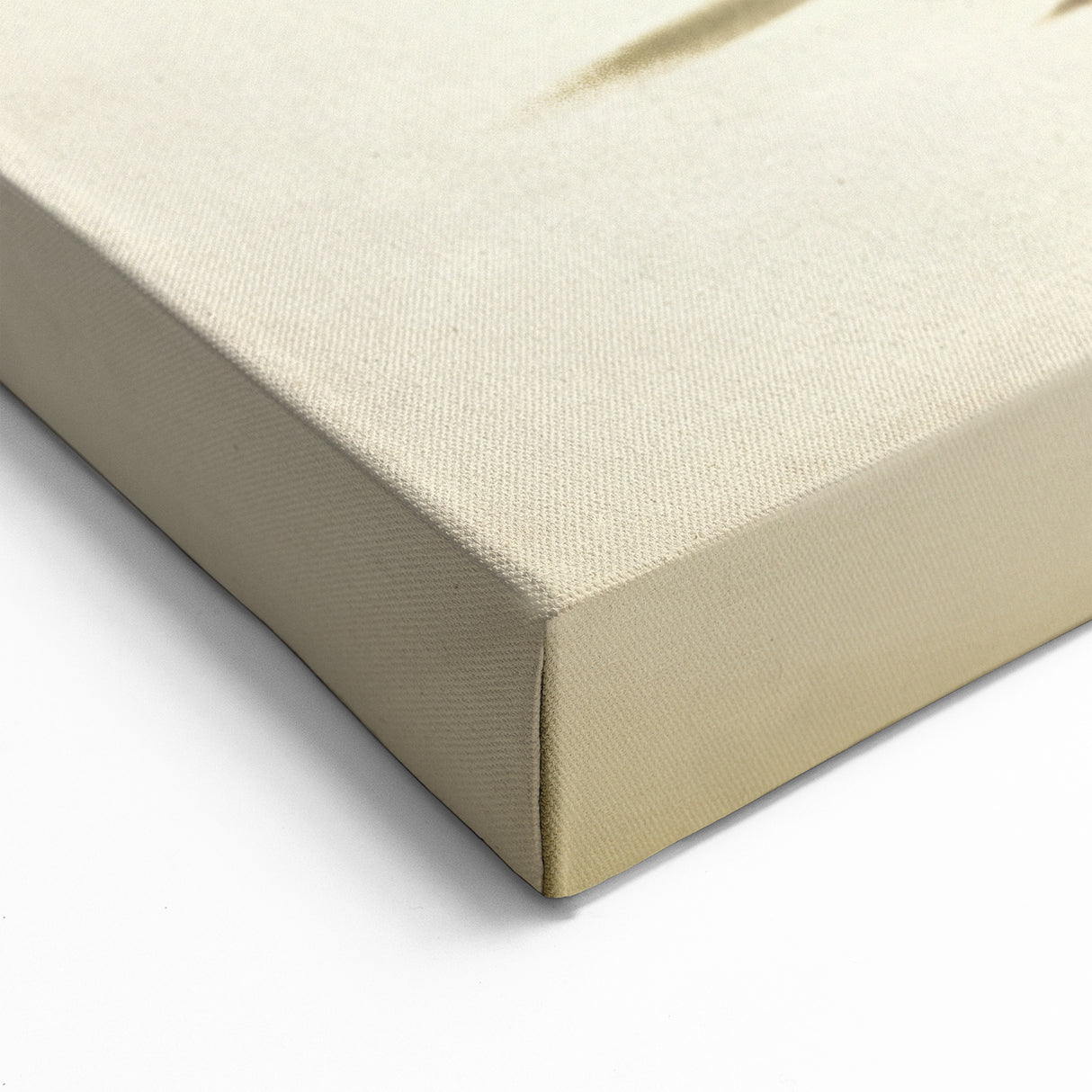 WWII Fighter Plane on Sepia Background Canvas Print