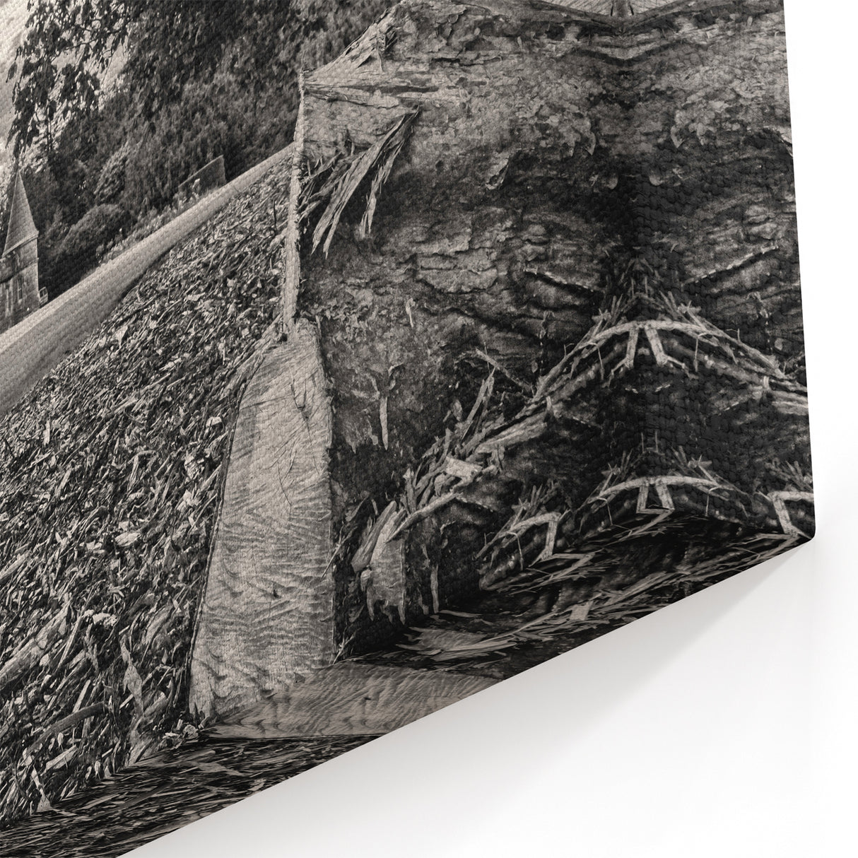 Castle Photography Art - Scenic Castle Landscape in Black and White Print