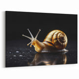 Golden Snail Wall Art | Nature's Elegance on Canvas, Acrylic & Framed Prints