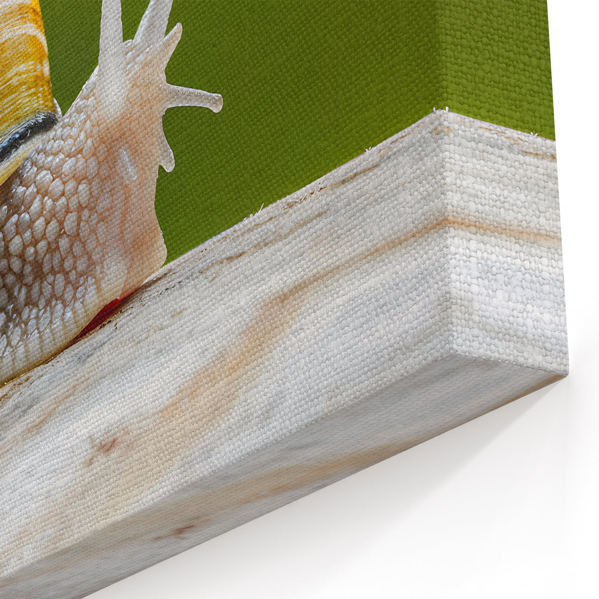 Garden Snail Wall Art | Nature's Beauty on Canvas, Acrylic & Prints