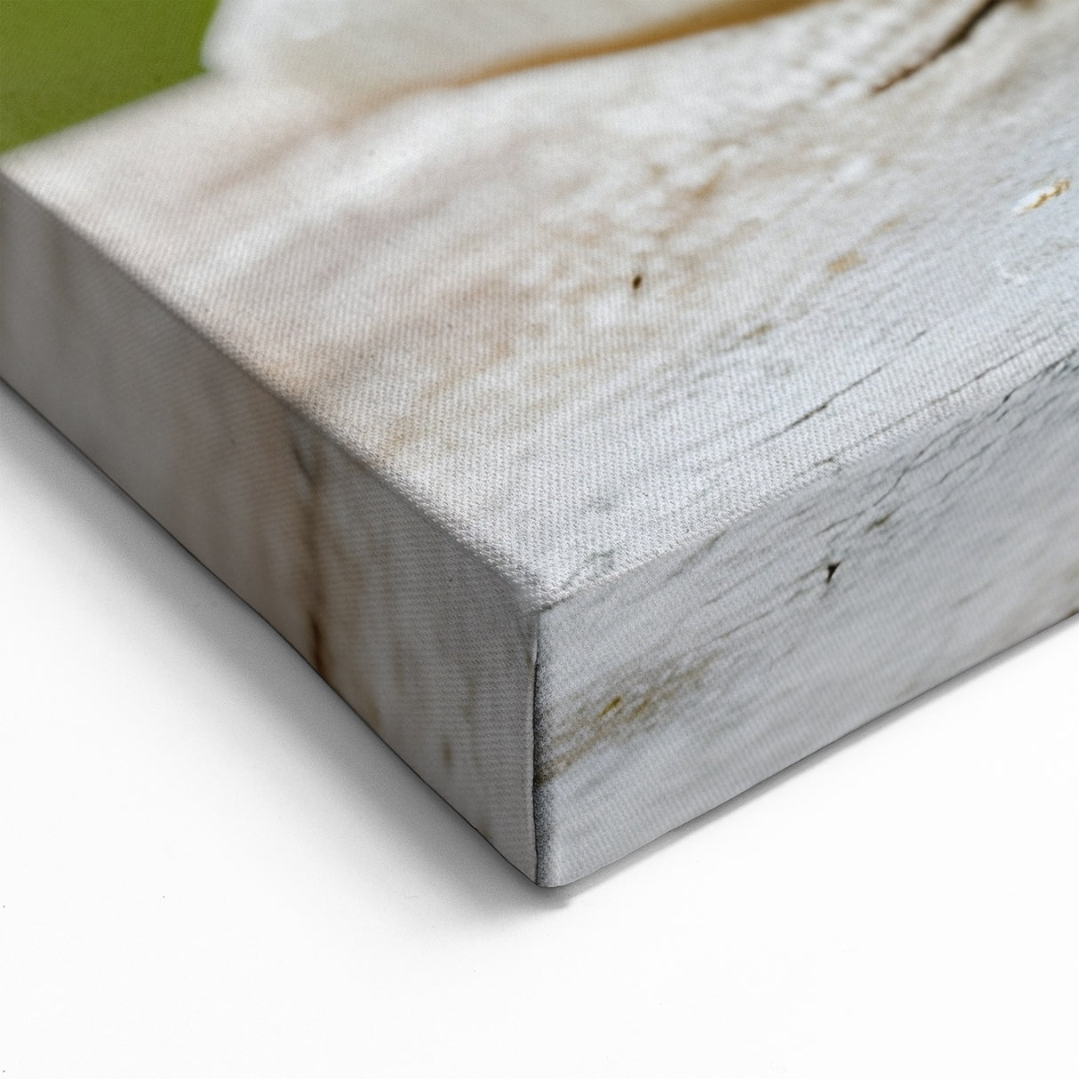 Garden Snail Wall Art | Nature's Beauty on Canvas, Acrylic & Prints