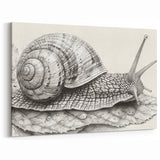 Monochrome Snail Wall Art - Intricate Line Drawing on Canvas & Prints
