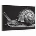 Silver Snail Wall Art | Elegant Black & White Design on Canvas & Prints