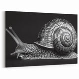 Silver Snail Wall Art | Elegant Black & White Design on Canvas & Prints