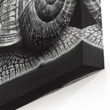 Silver Snail Wall Art | Elegant Black & White Design on Canvas & Prints