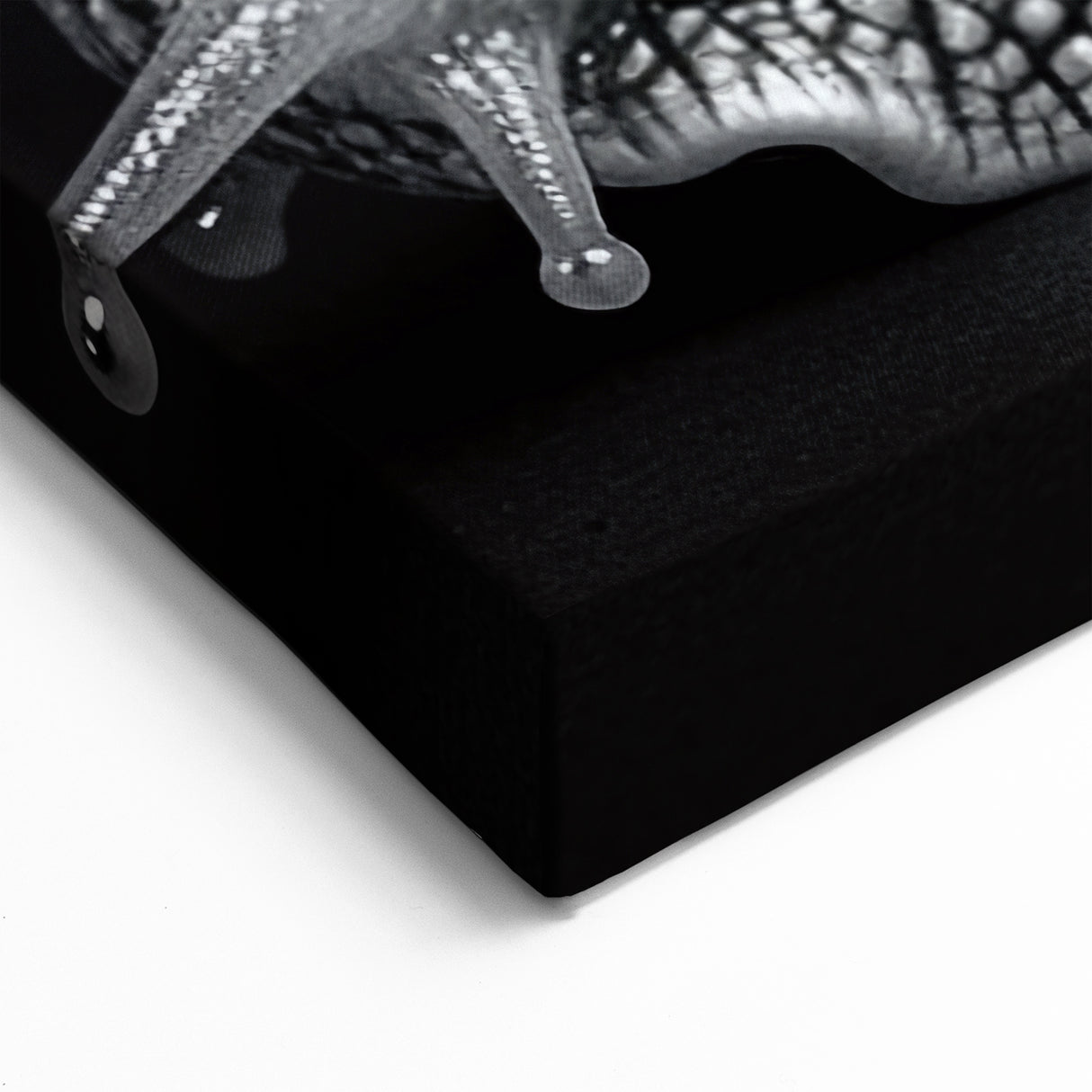 Silver Snail Wall Art | Elegant Black & White Design on Canvas & Prints