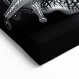 Silver Snail Wall Art | Elegant Black & White Design on Canvas & Prints