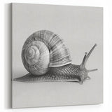 Minimalist Snail Wall Art | Elegant Black & White Canvas & Prints
