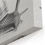 Minimalist Snail Wall Art | Elegant Black & White Canvas & Prints