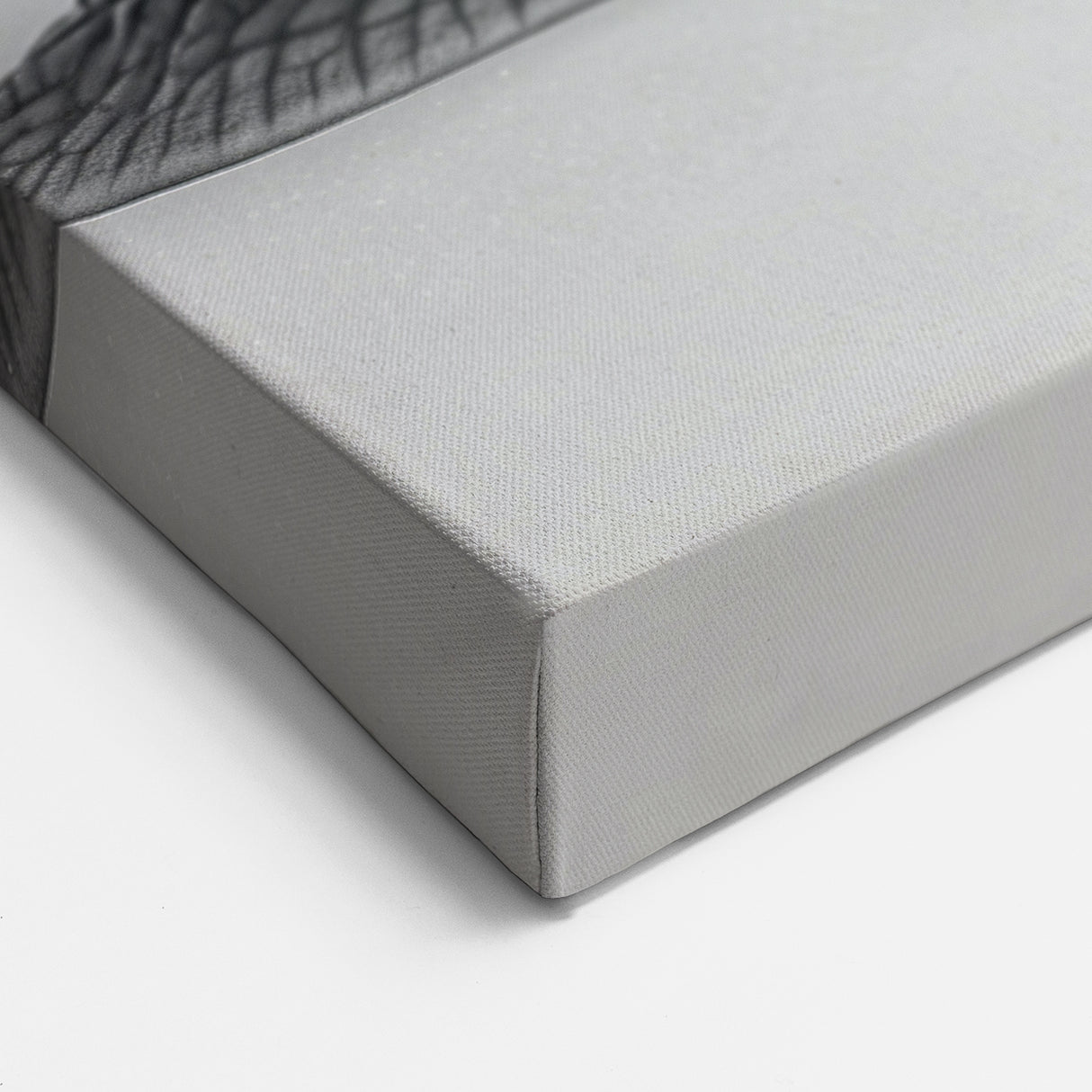 Minimalist Snail Wall Art | Elegant Black & White Canvas & Prints