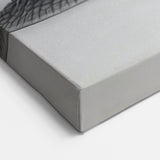 Minimalist Snail Wall Art | Elegant Black & White Canvas & Prints