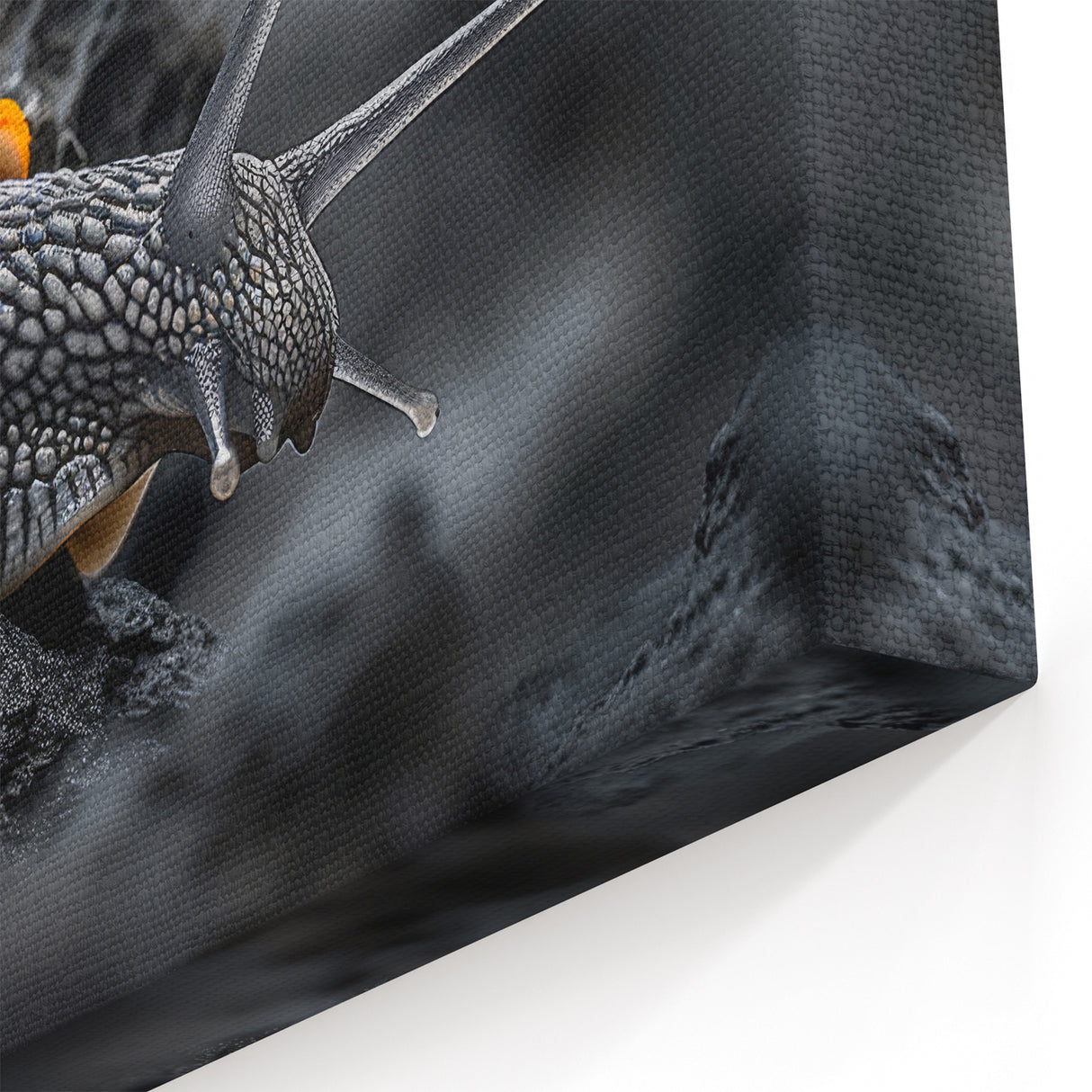 Snail Canvas Print - Stunning Wildlife Art for Nature Lovers