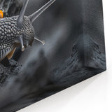Snail Canvas Print - Stunning Wildlife Art for Nature Lovers
