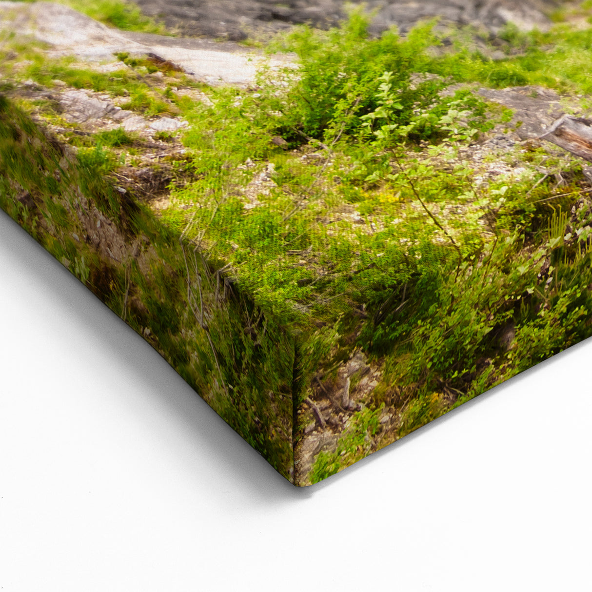 Mountain Bridge Railway Art - Vibrant Red Train in Scenic Landscape