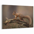 Charming Squirrel Wall Art on Canvas - Woodland Wildlife Decor