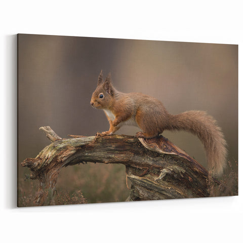 Charming Squirrel Wall Art on Canvas - Woodland Wildlife Decor