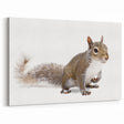 Realistic Squirrel Wall Art Print - Wildlife Animal Decor