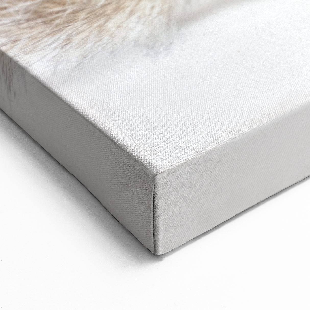 Realistic Squirrel Wall Art Print - Wildlife Animal Decor