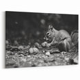 Elegant Squirrel in Black and White - Rustic Wall Art Print