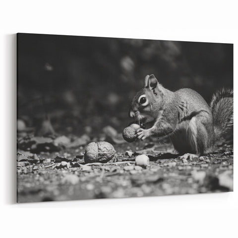 Elegant Squirrel in Black and White - Rustic Wall Art Print