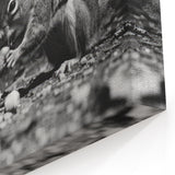 Elegant Squirrel in Black and White - Rustic Wall Art Print