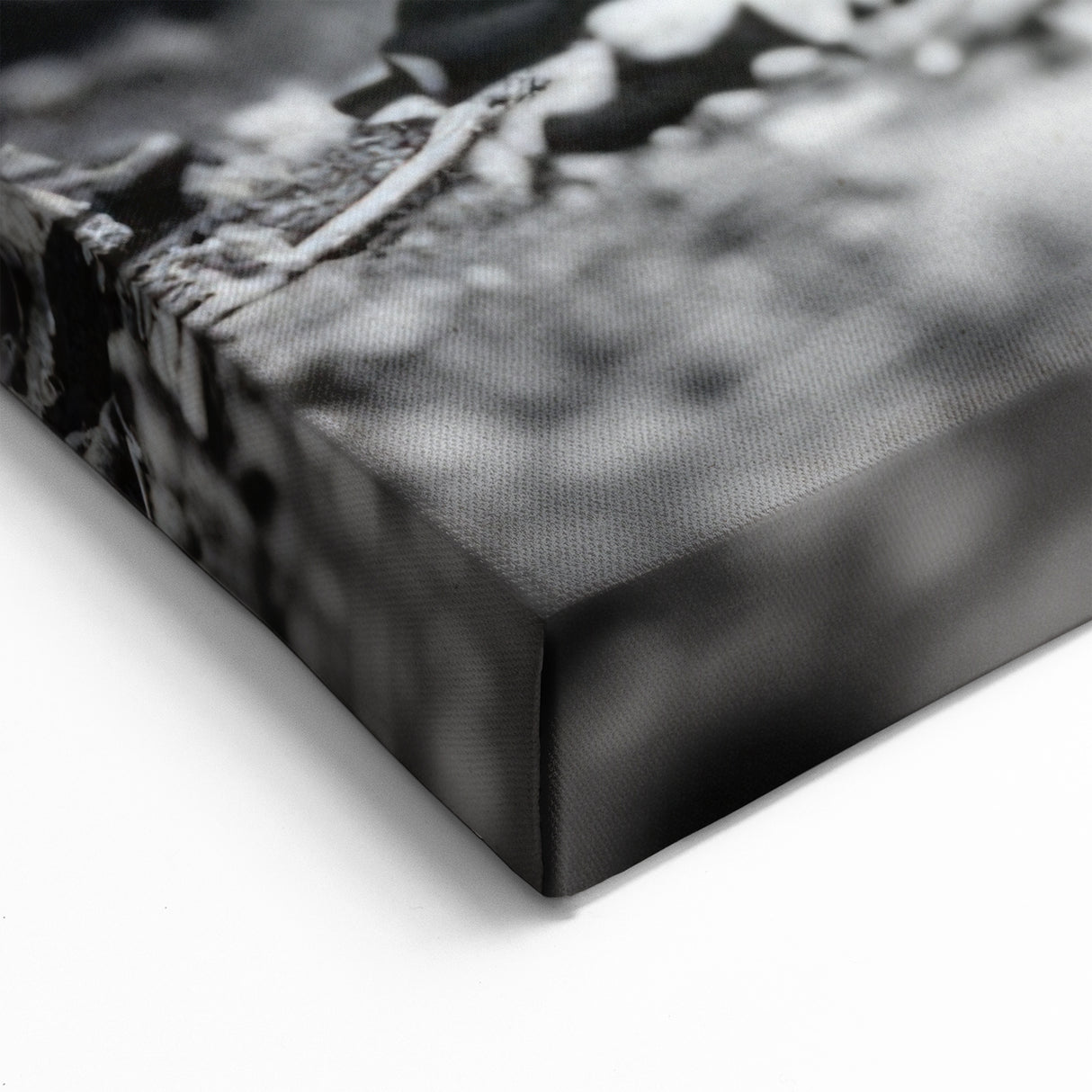 Elegant Squirrel in Black and White - Rustic Wall Art Print