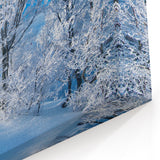 Glacial Winter Wonderland Art - Snowy Landscape Canvas Print