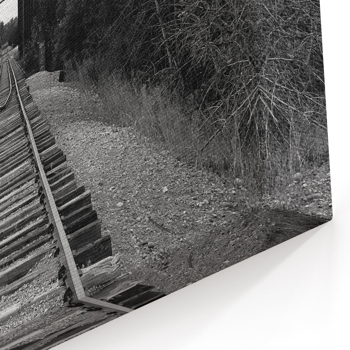Railway Bridge in Nature Wall Art - Black and White Scenic Photography