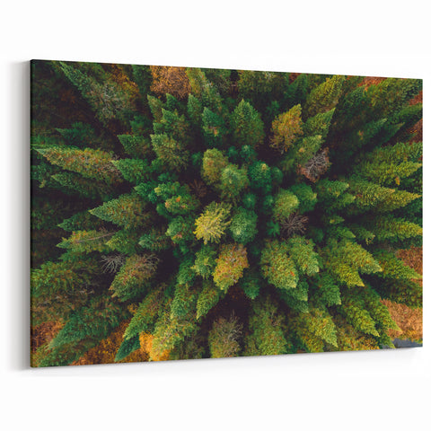 Aerial View of Lush Forest - Scenic Tree Landscape Canvas Wall Art Print