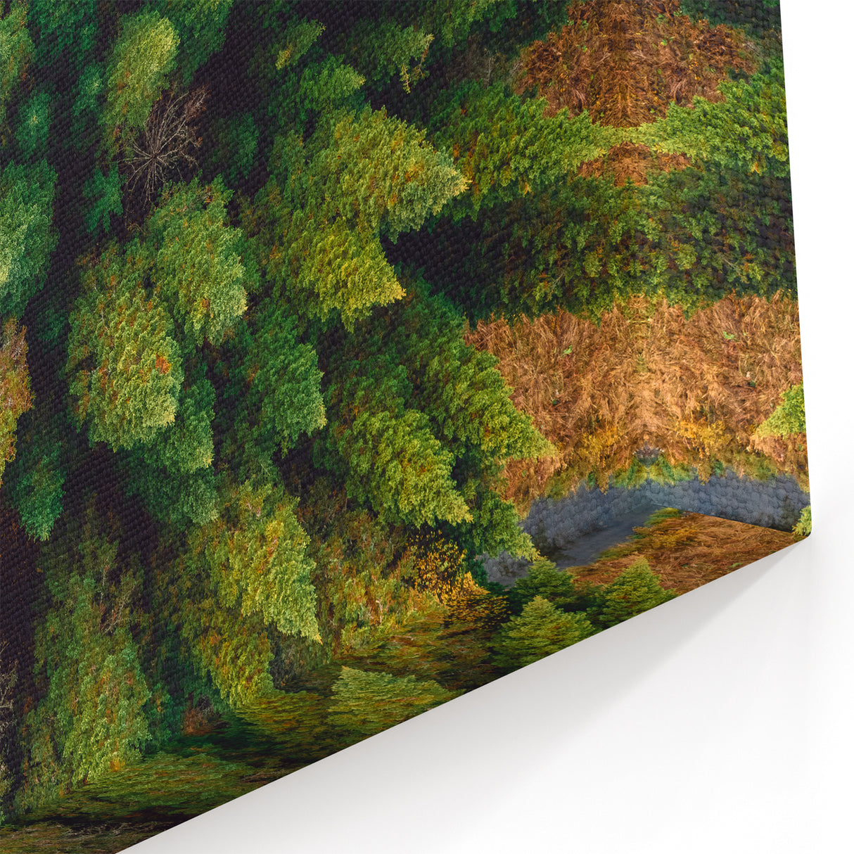 Aerial View of Lush Forest - Scenic Tree Landscape Canvas Wall Art Print