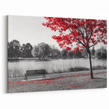 Striking Red Tree by the Lake - Black and White Contrast Photography Art