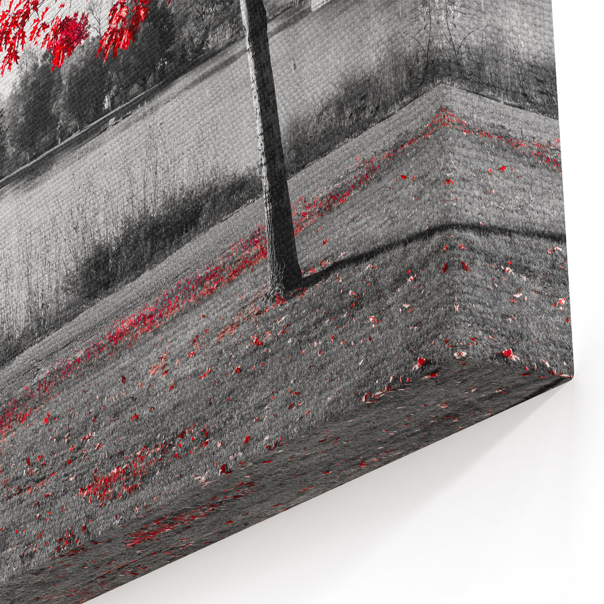 Striking Red Tree by the Lake - Black and White Contrast Photography Art