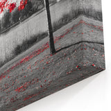 Striking Red Tree by the Lake - Black and White Contrast Photography Art