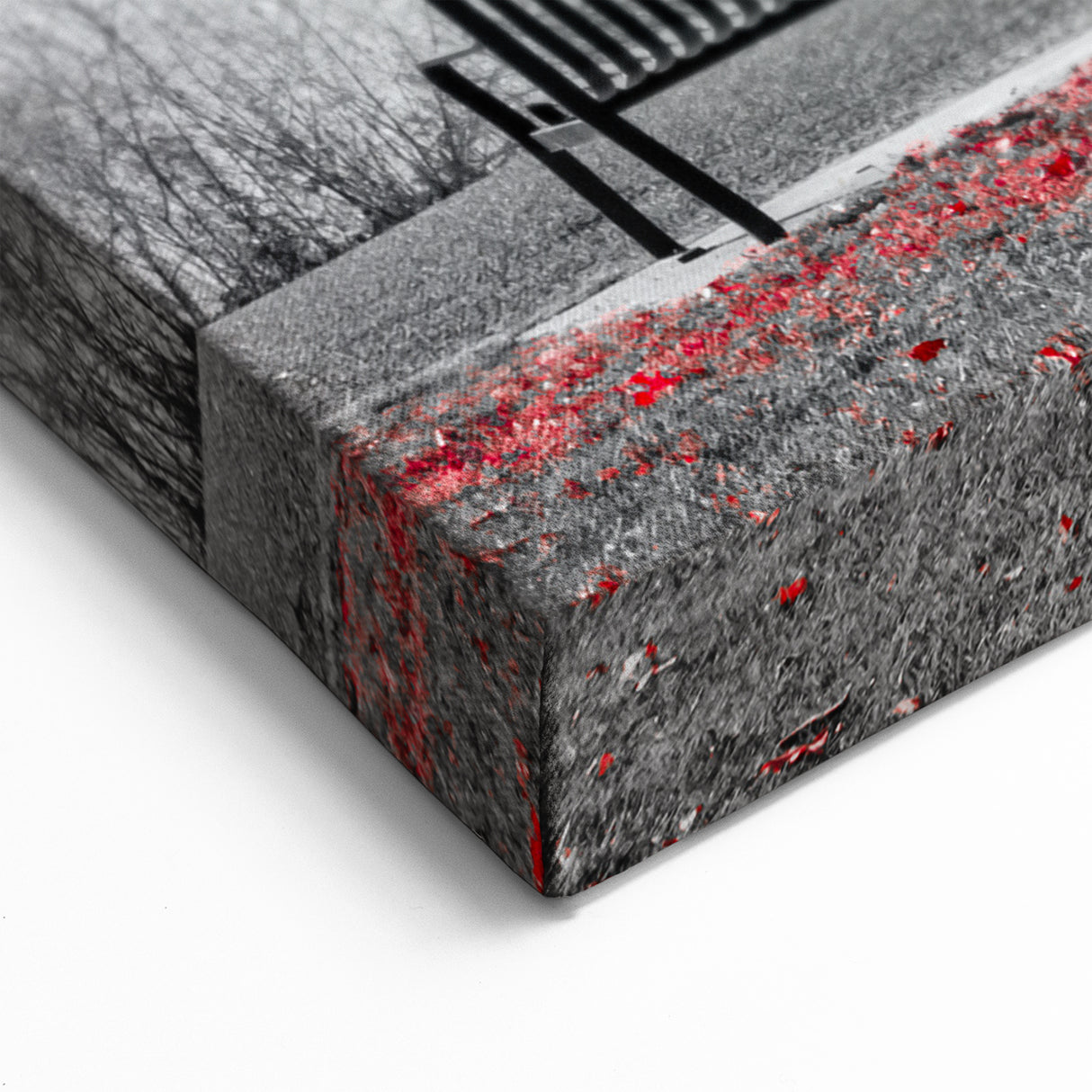 Striking Red Tree by the Lake - Black and White Contrast Photography Art