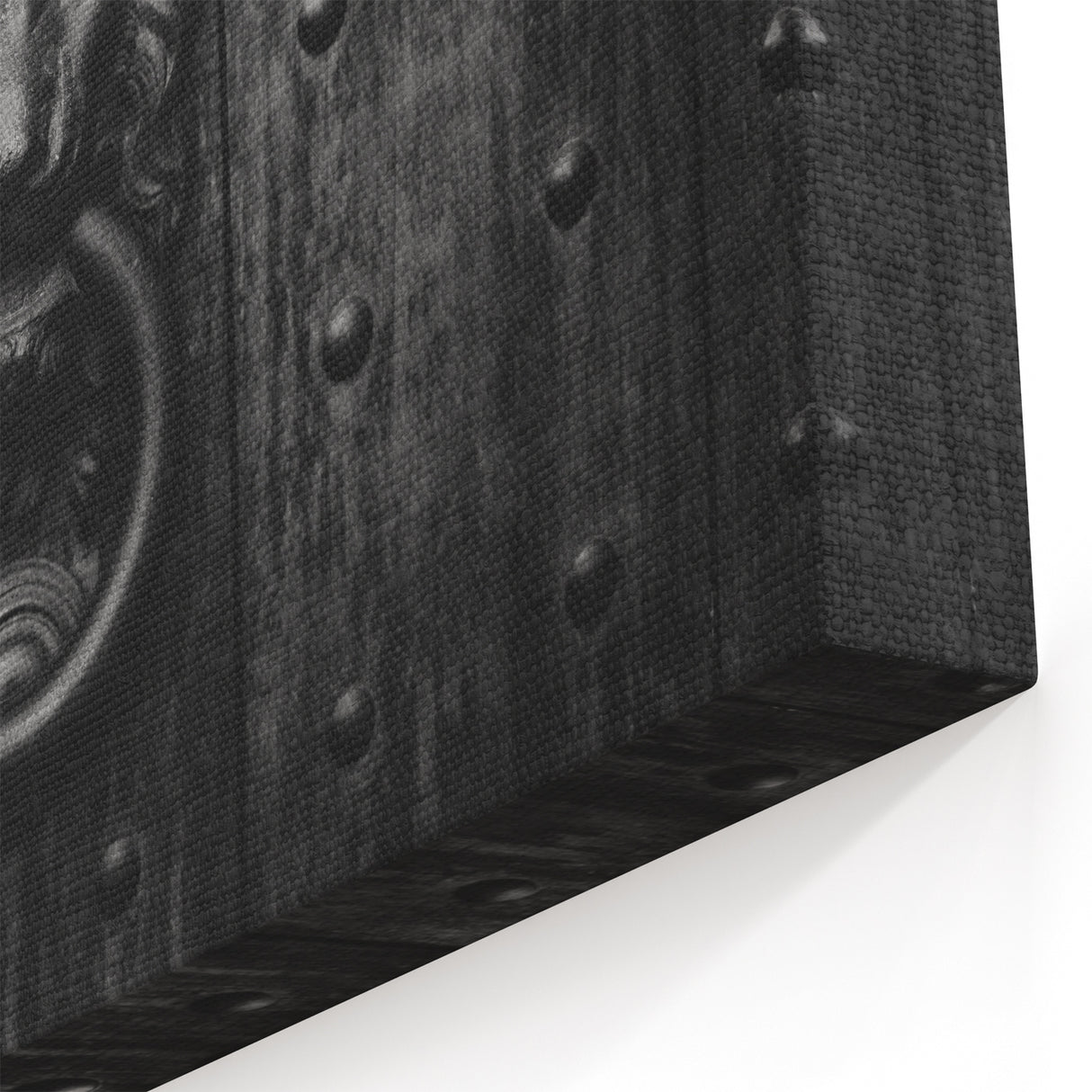 Monochrome Hardware Wall Art - Lion Head Knocker Canvas Print & Decor