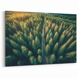 Scenic Tree Wall Art - Serene Forest Road Landscape Canvas Print