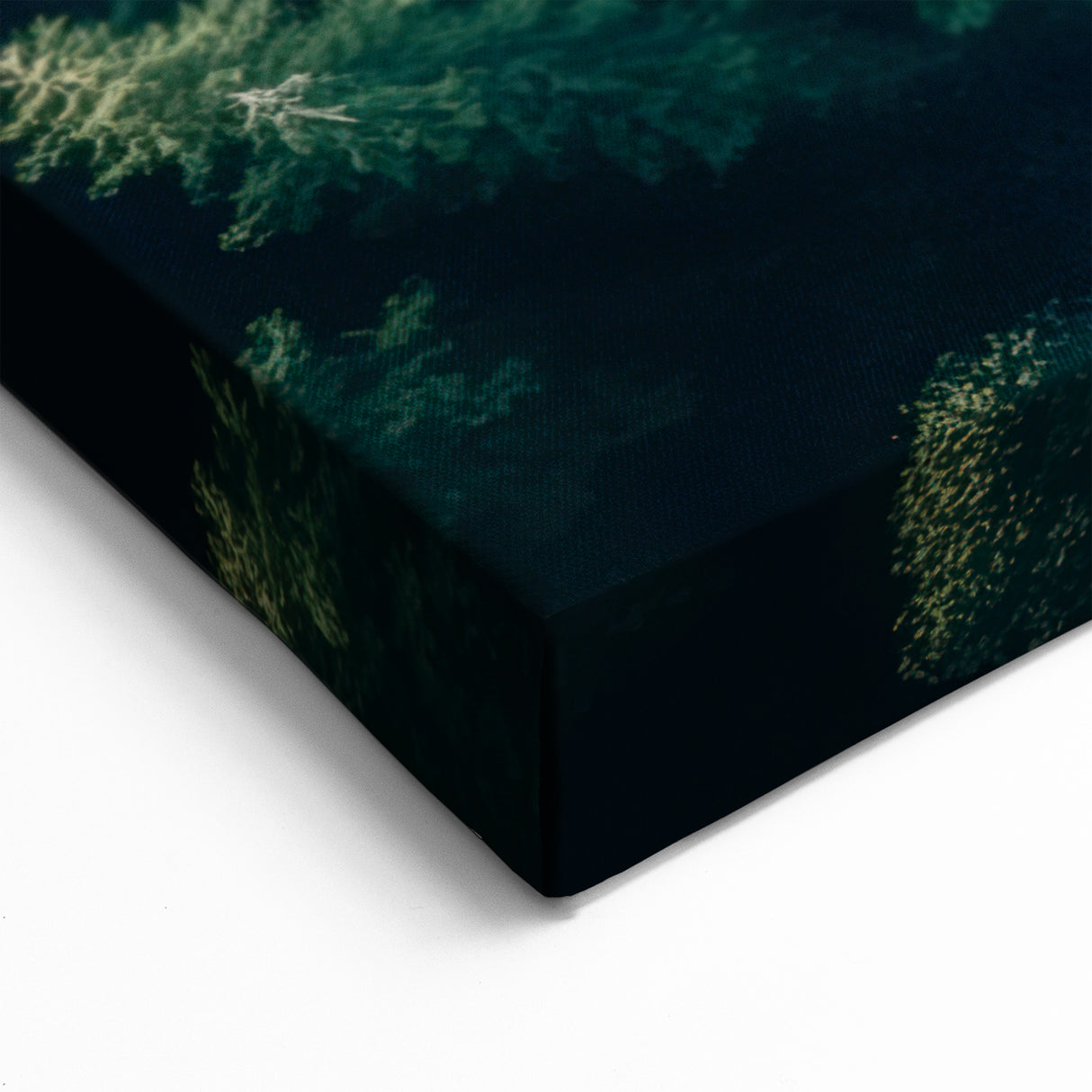 Scenic Tree Wall Art - Serene Forest Road Landscape Canvas Print