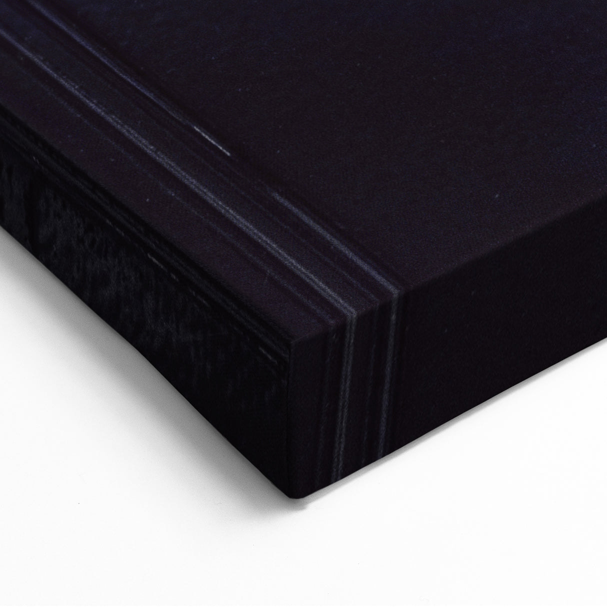 Metallic Hardware Wall Art - Silver Lion Knocker Canvas Print & Decor