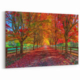 Vibrant Tree Wall Art - Autumn Pathway Landscape Canvas Print