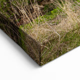 Dereliction Wall Art - Rustic Abandoned Building, Urban Decay Canvas