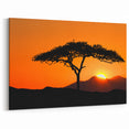 Sunset Tree Silhouette Wall Art - African Landscape Canvas Print