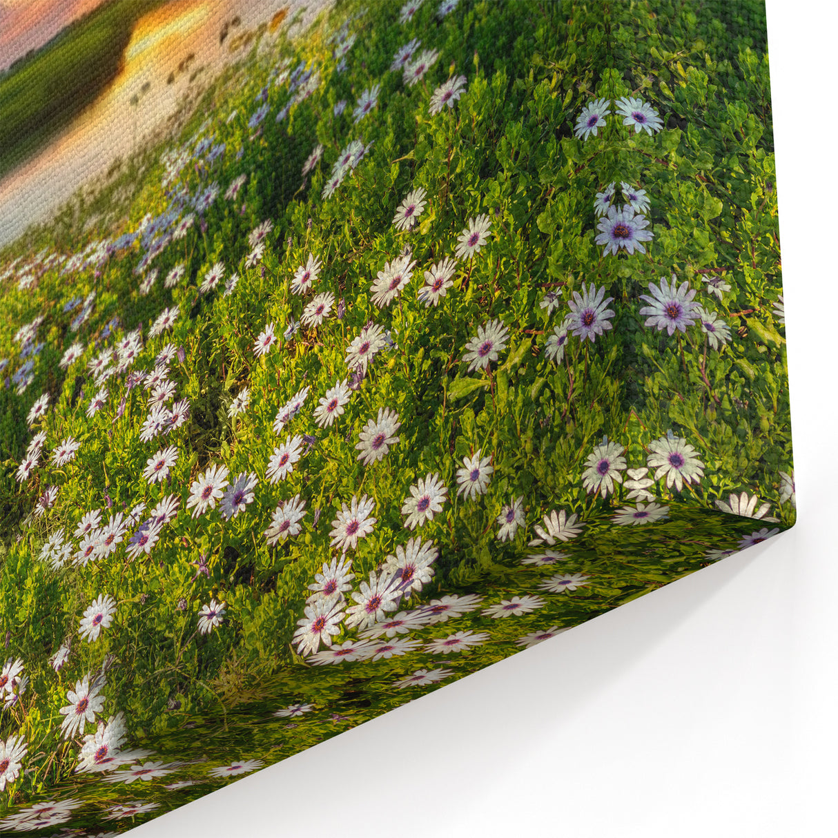 Lakeside Flower Meadow Wall Art - Scenic Sunset Landscape Print