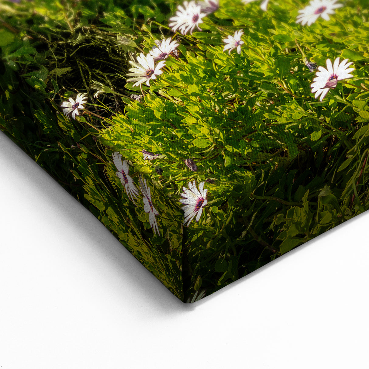 Lakeside Flower Meadow Wall Art - Scenic Sunset Landscape Print