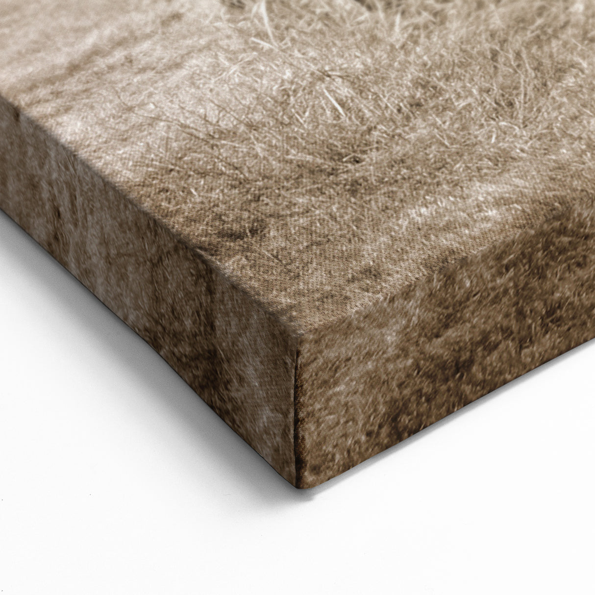 Dereliction Wall Art - Abandoned Vintage Cars & Rustic Buildings