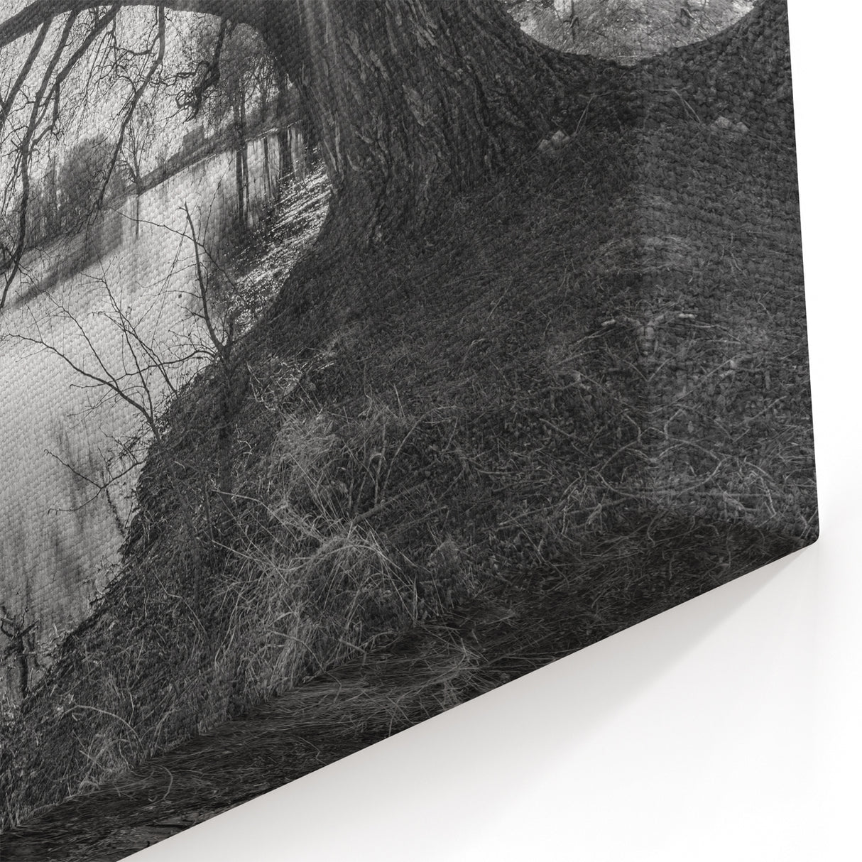 Black and White Lake Tree Wall Art - Dramatic Sunburst Landscape Print