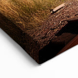 Dereliction Wall Art - Overgrown Abandoned Station, Urban Decay Canvas