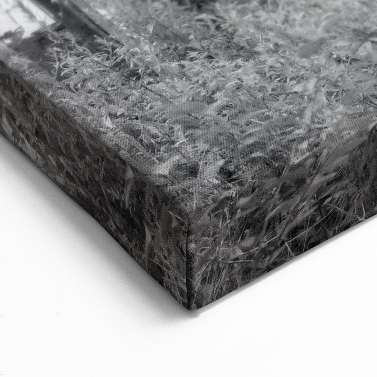 Black & White Derelict House Art - Abandoned Rural Architecture Print